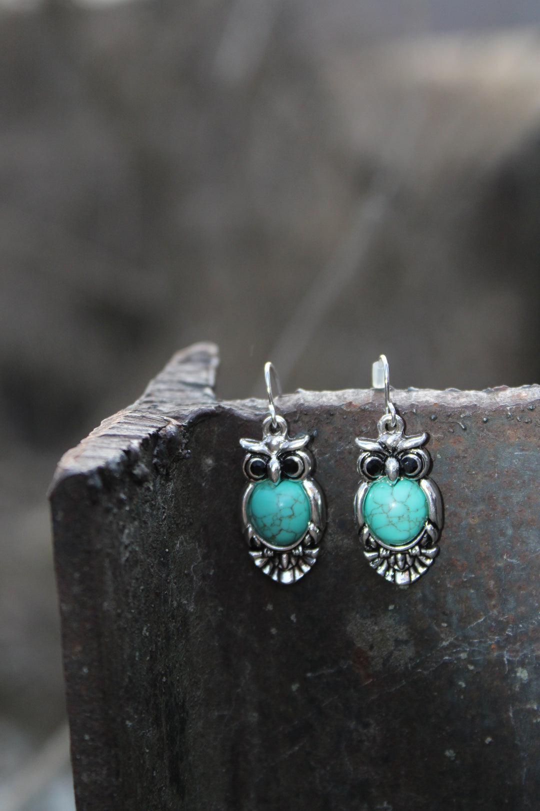 Desert Watch Owl Earrings
