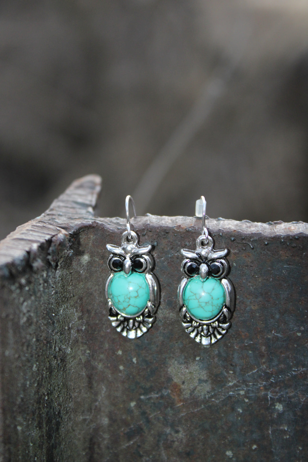 Desert Watch Owl Earrings