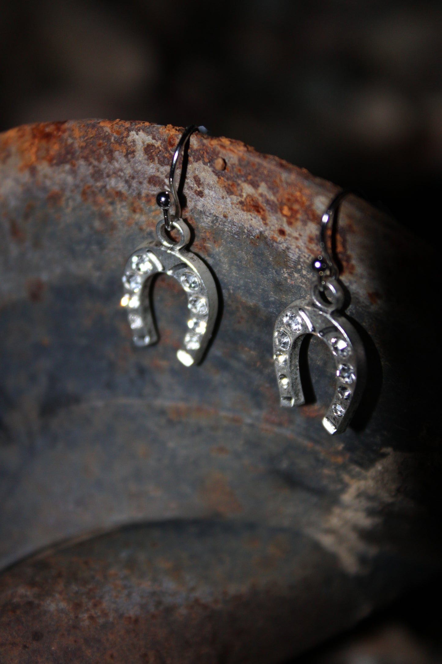 Lucky Charm Horseshoe Earrings