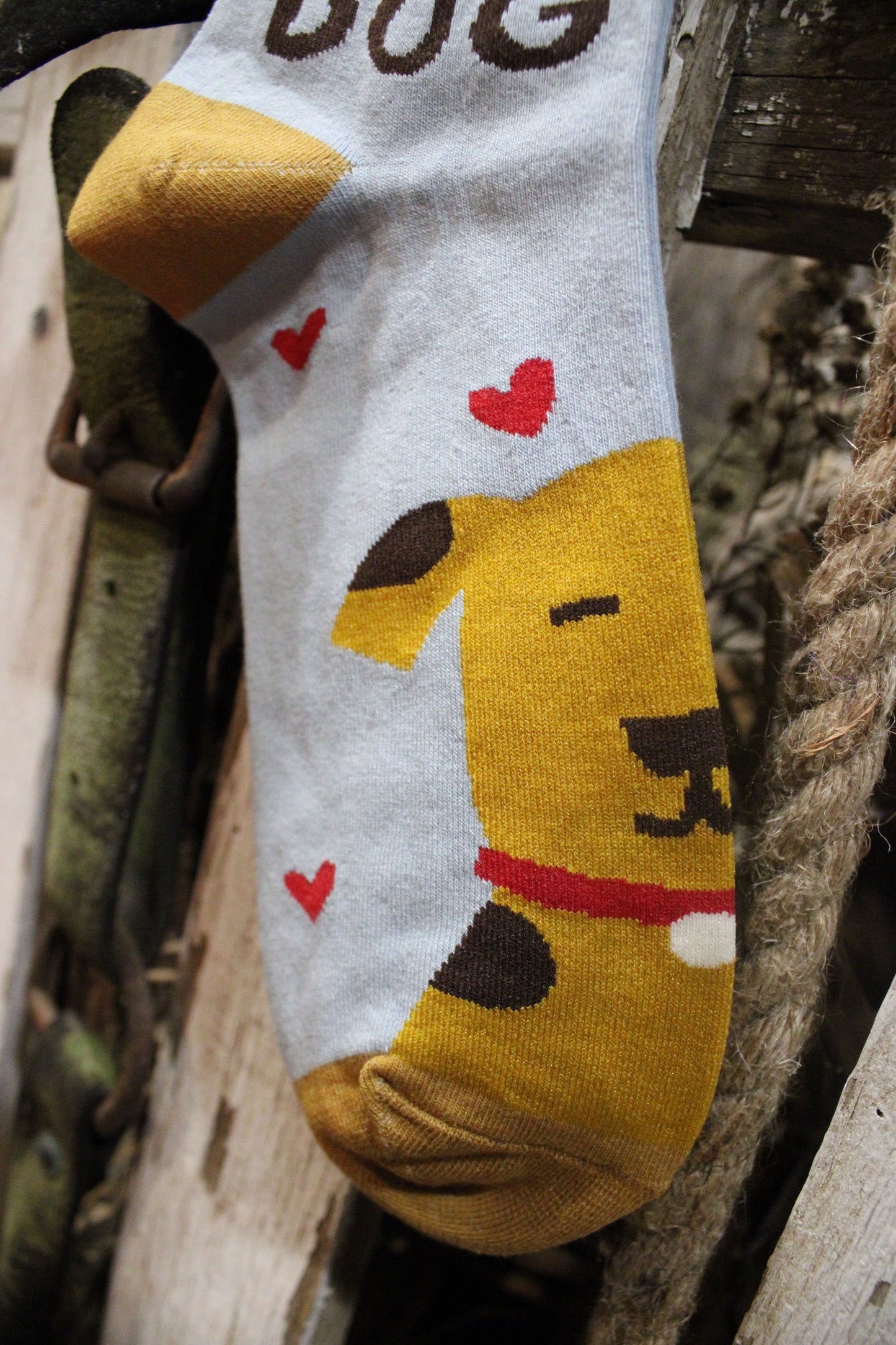 All You Need Is Love and A Dog Socks