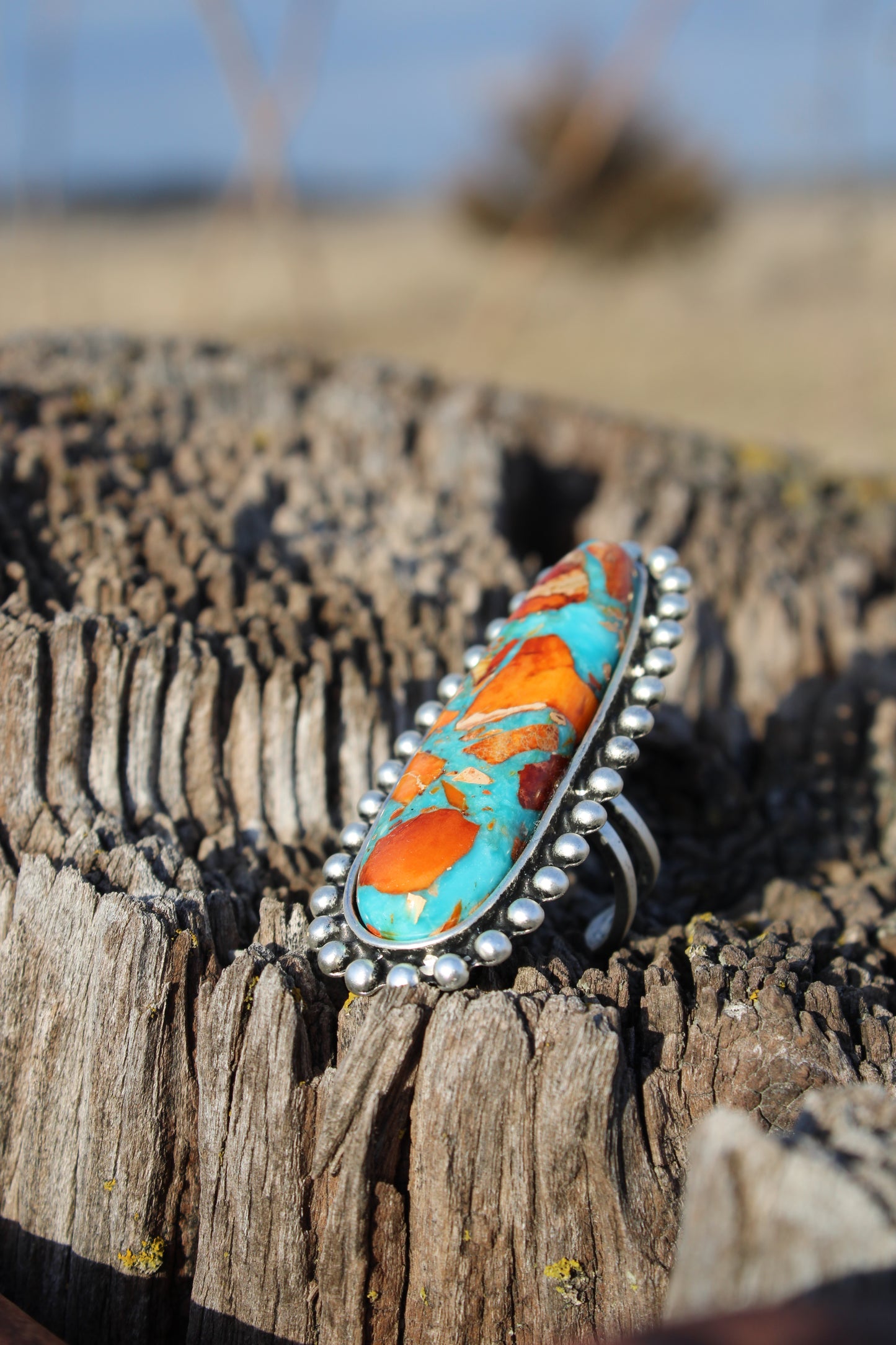 Painted Desert Ring