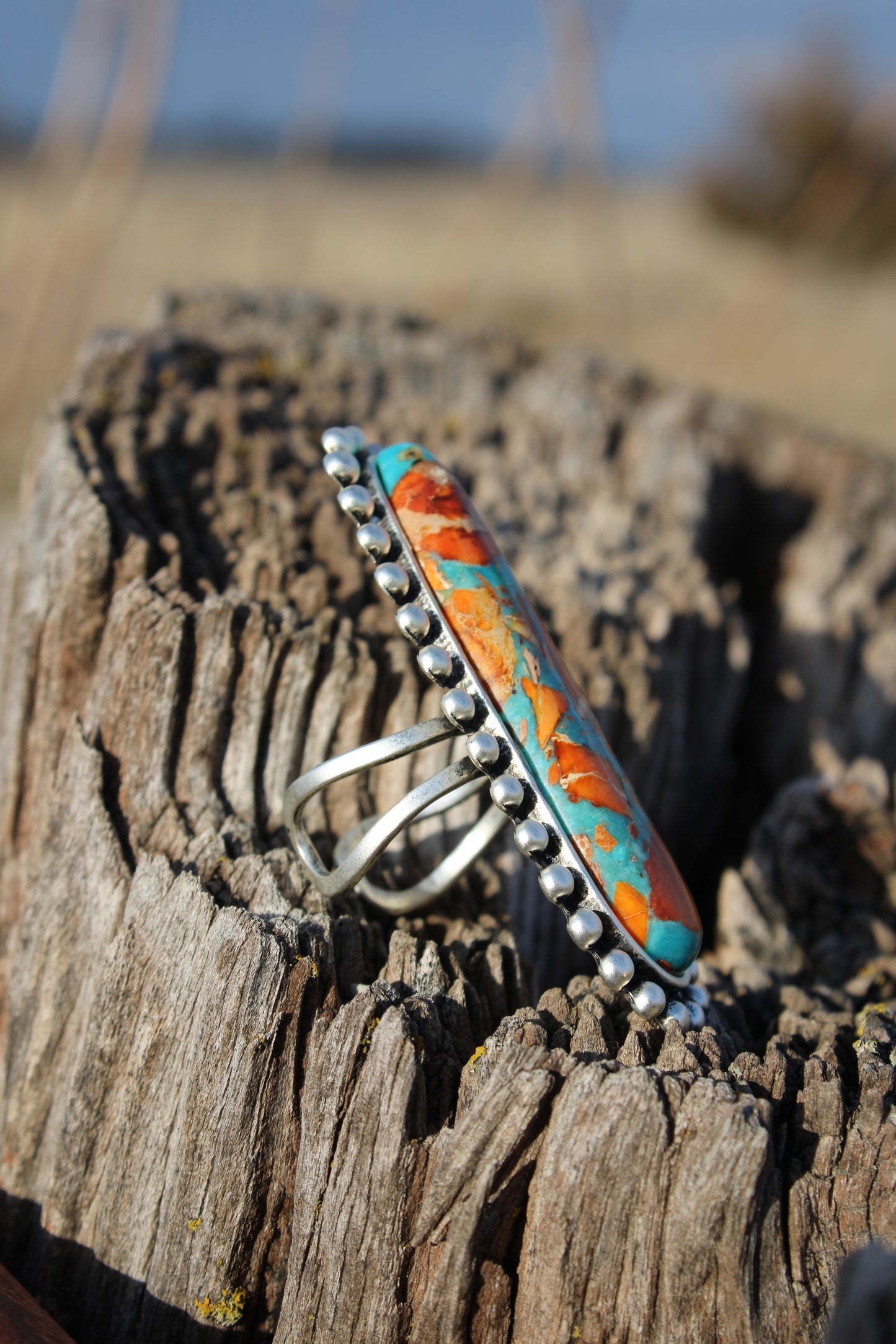Painted Desert Ring