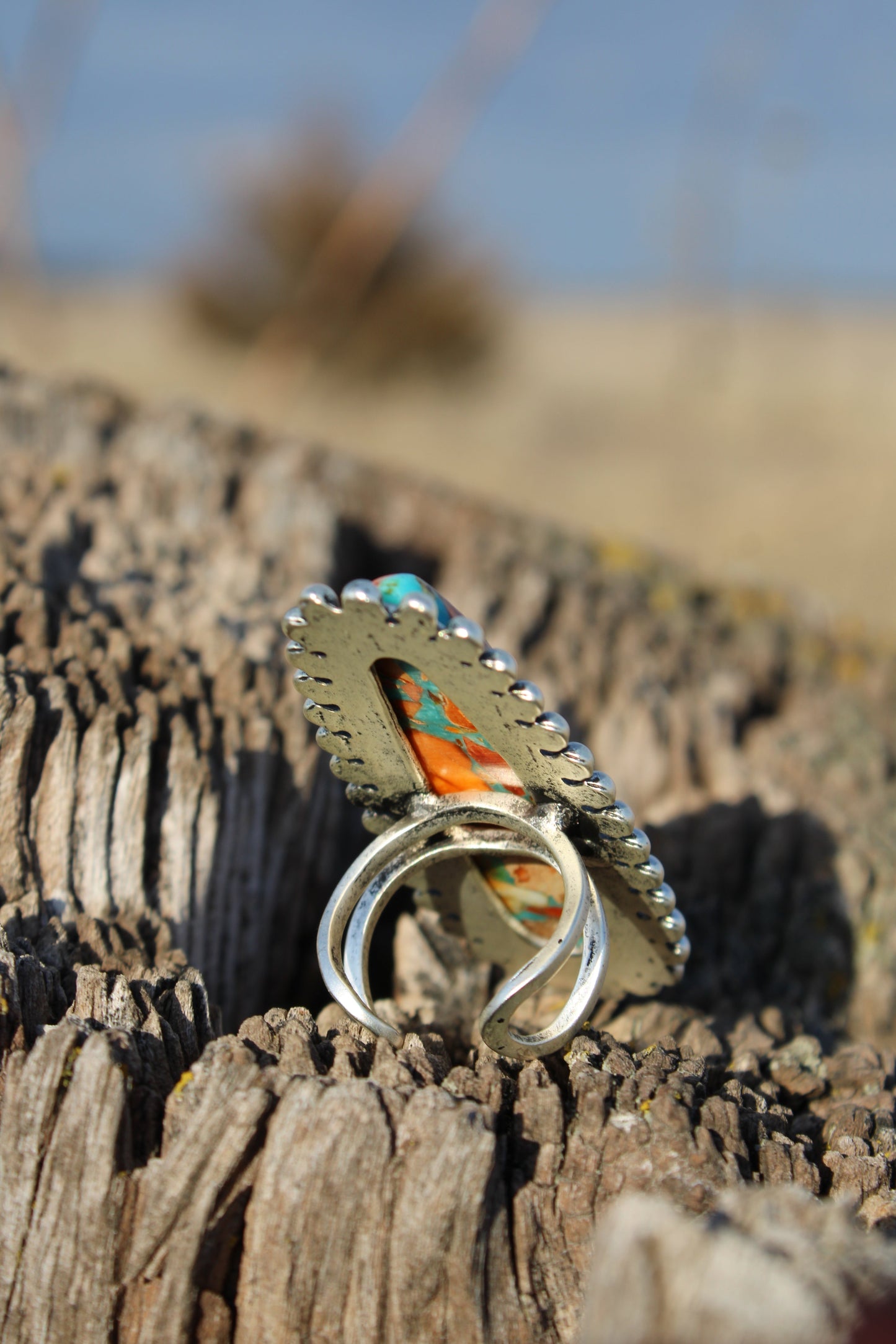 Painted Desert Ring