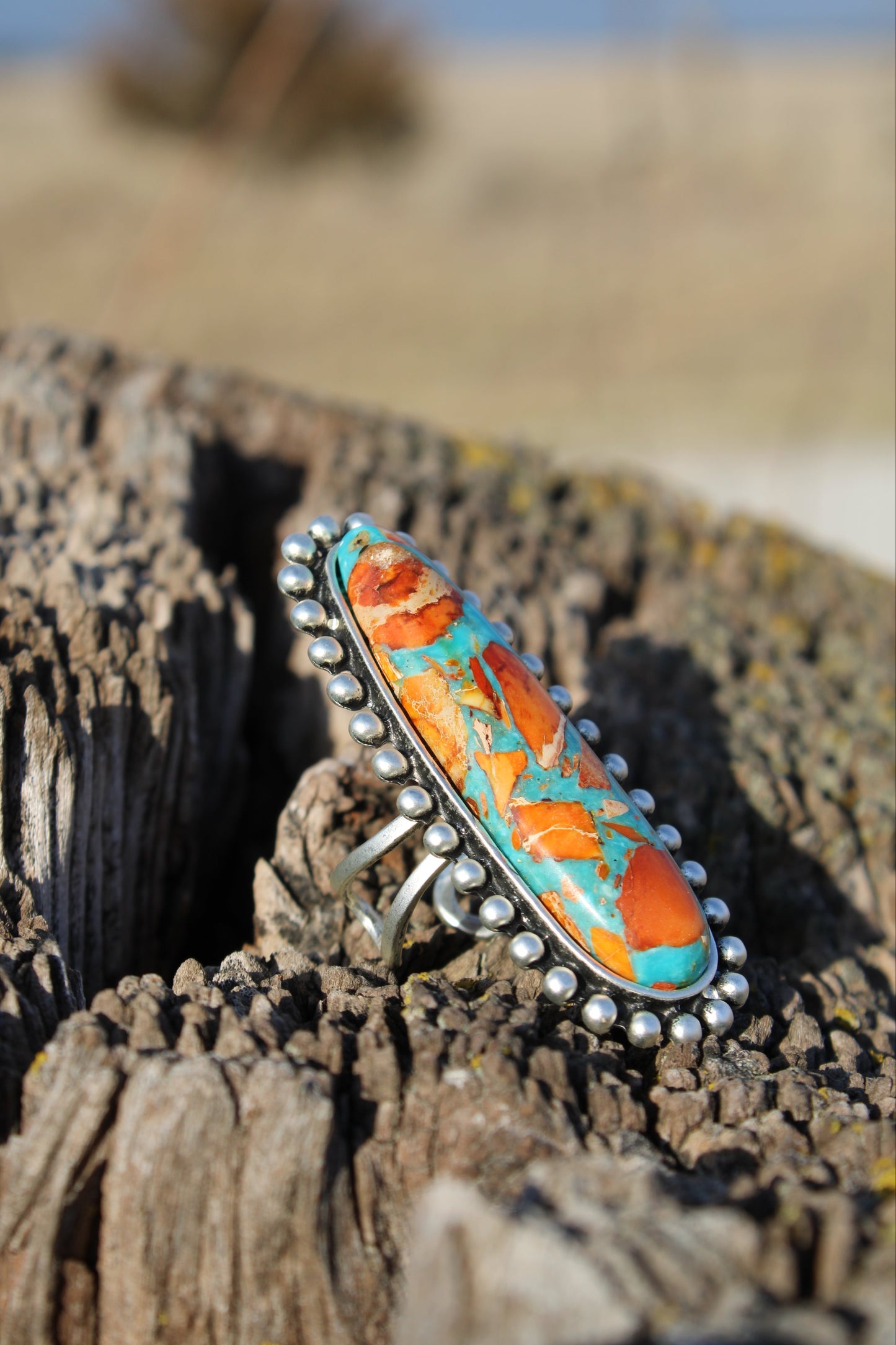 Painted Desert Ring