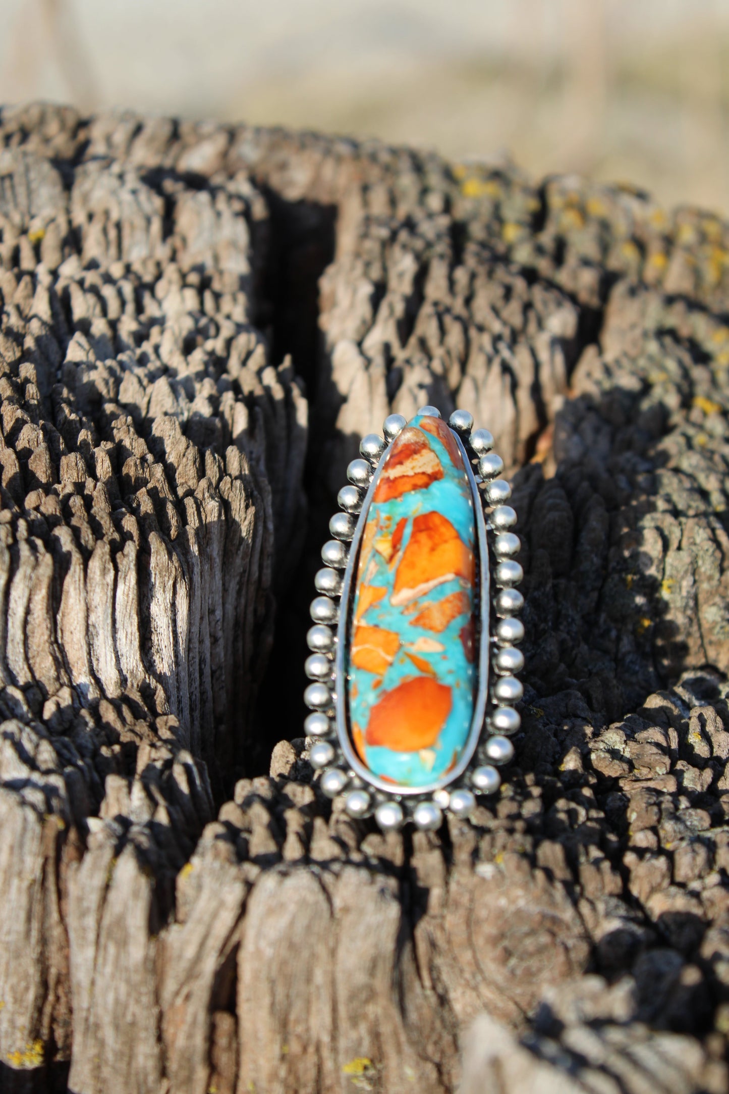 Painted Desert Ring