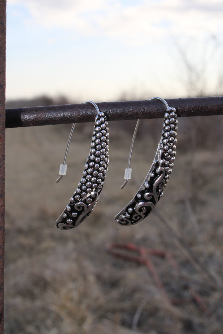 Crescent Canyon Earrings