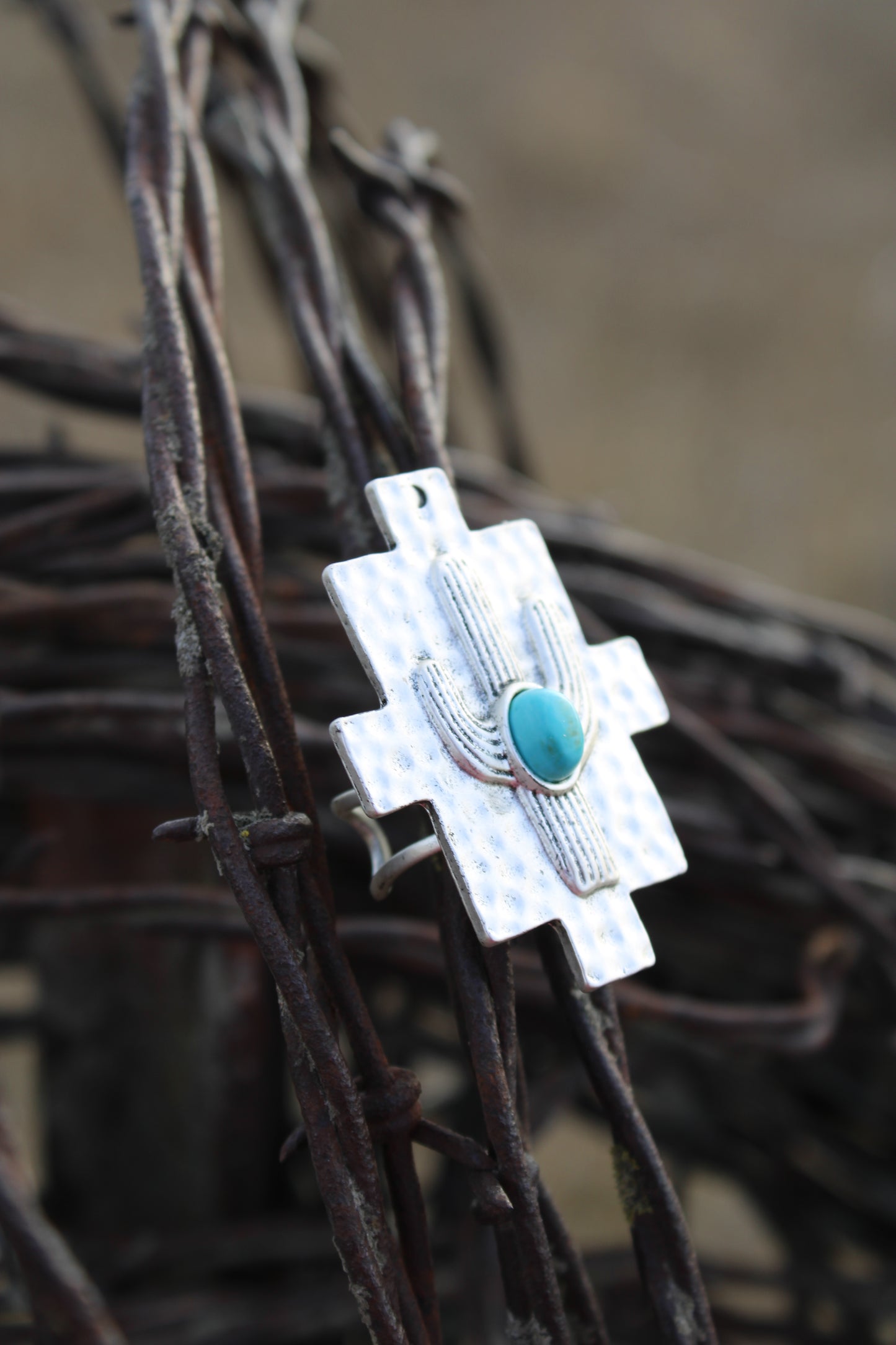 Wild & Western Ring