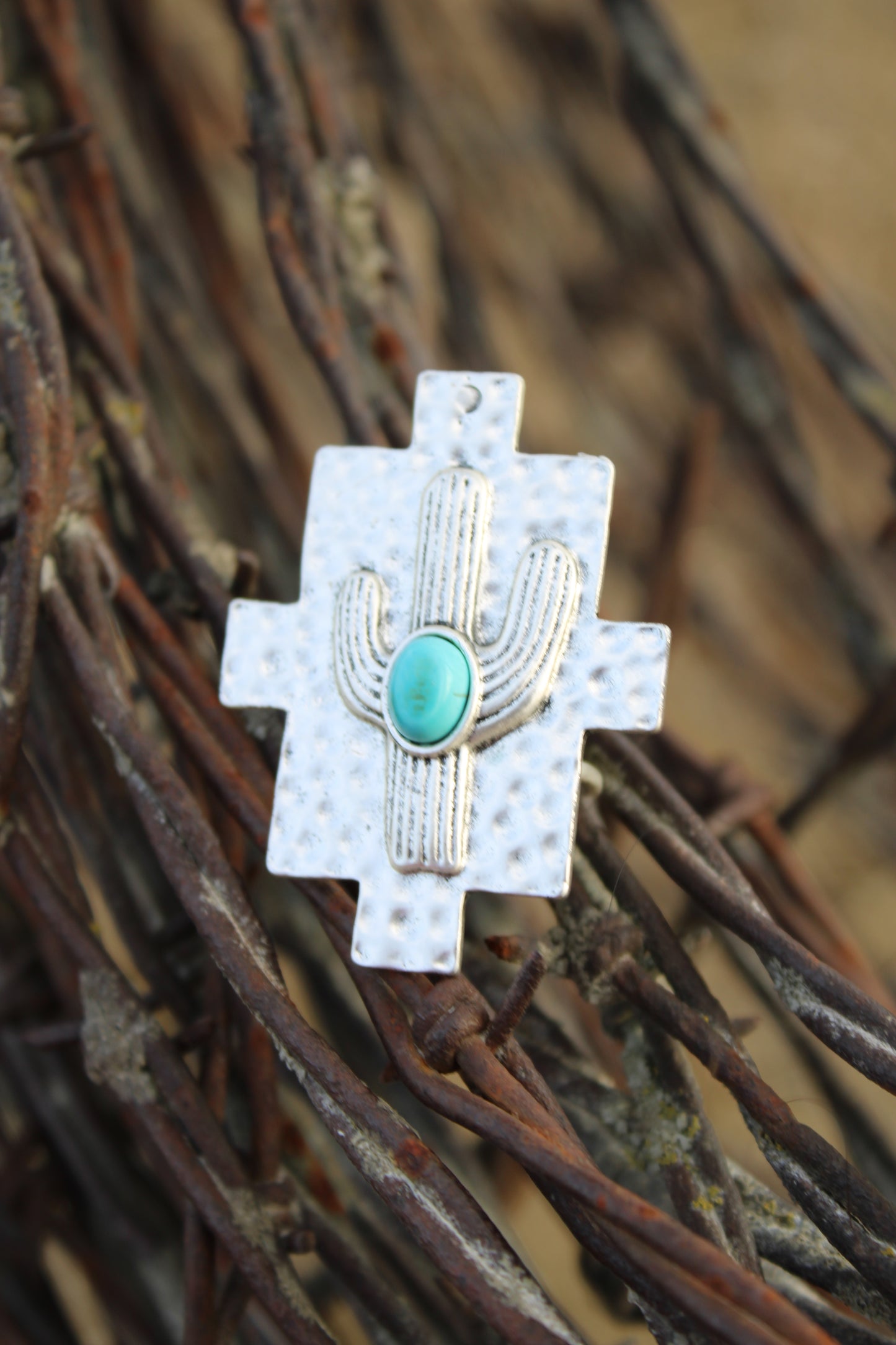 Wild & Western Ring