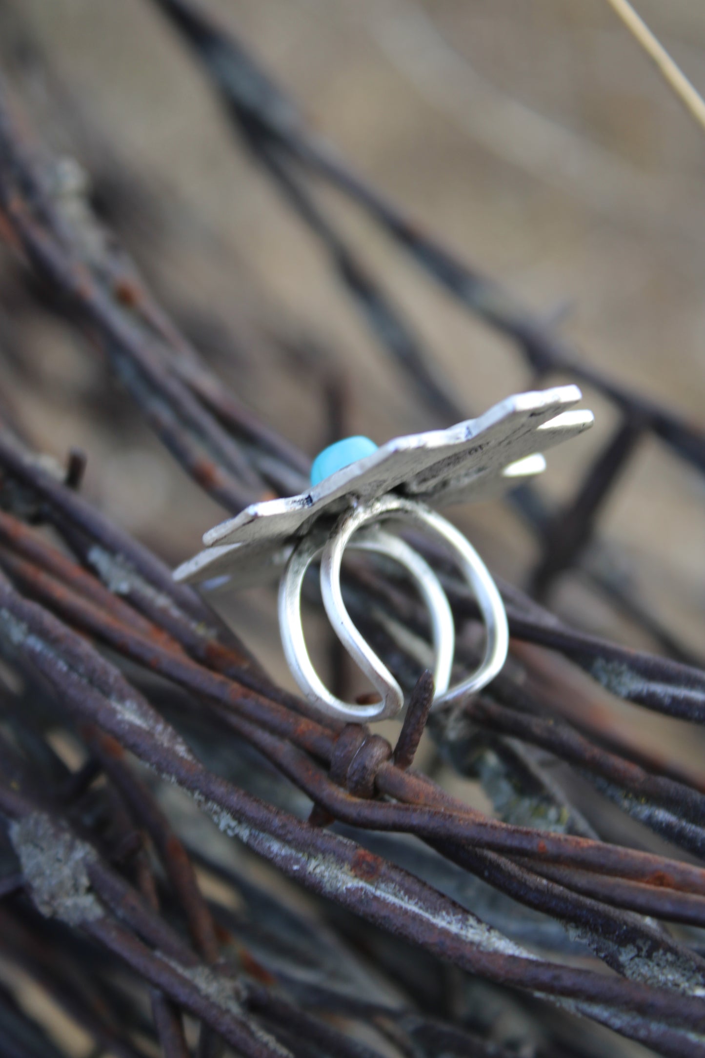 Wild & Western Ring