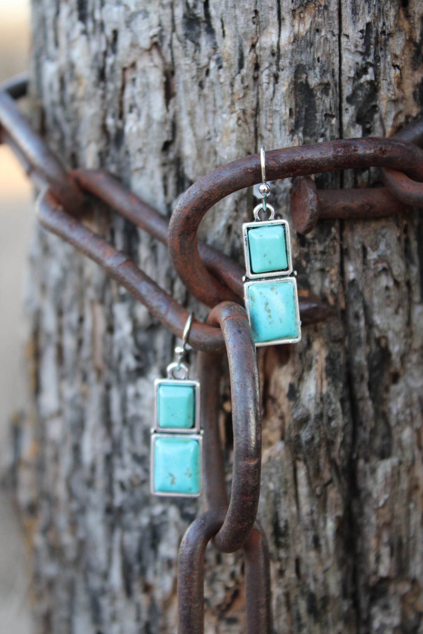 Oasis Bar Earrings