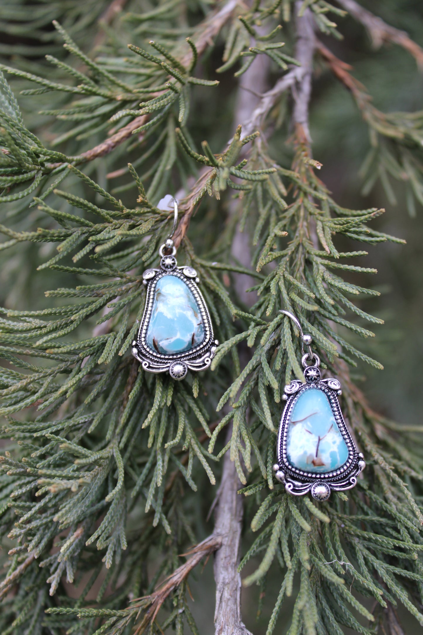 The Guardian Earrings