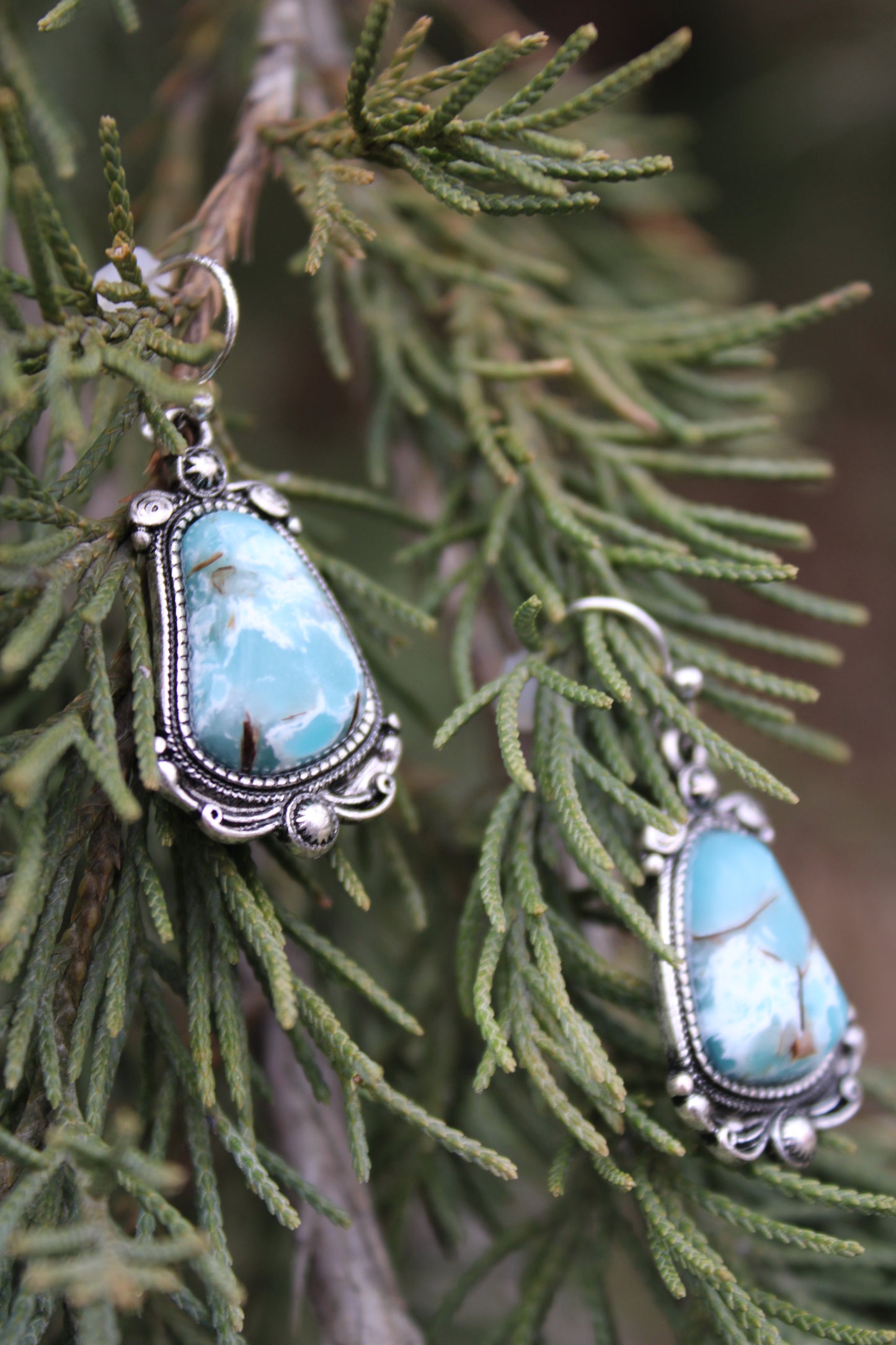 The Guardian Earrings