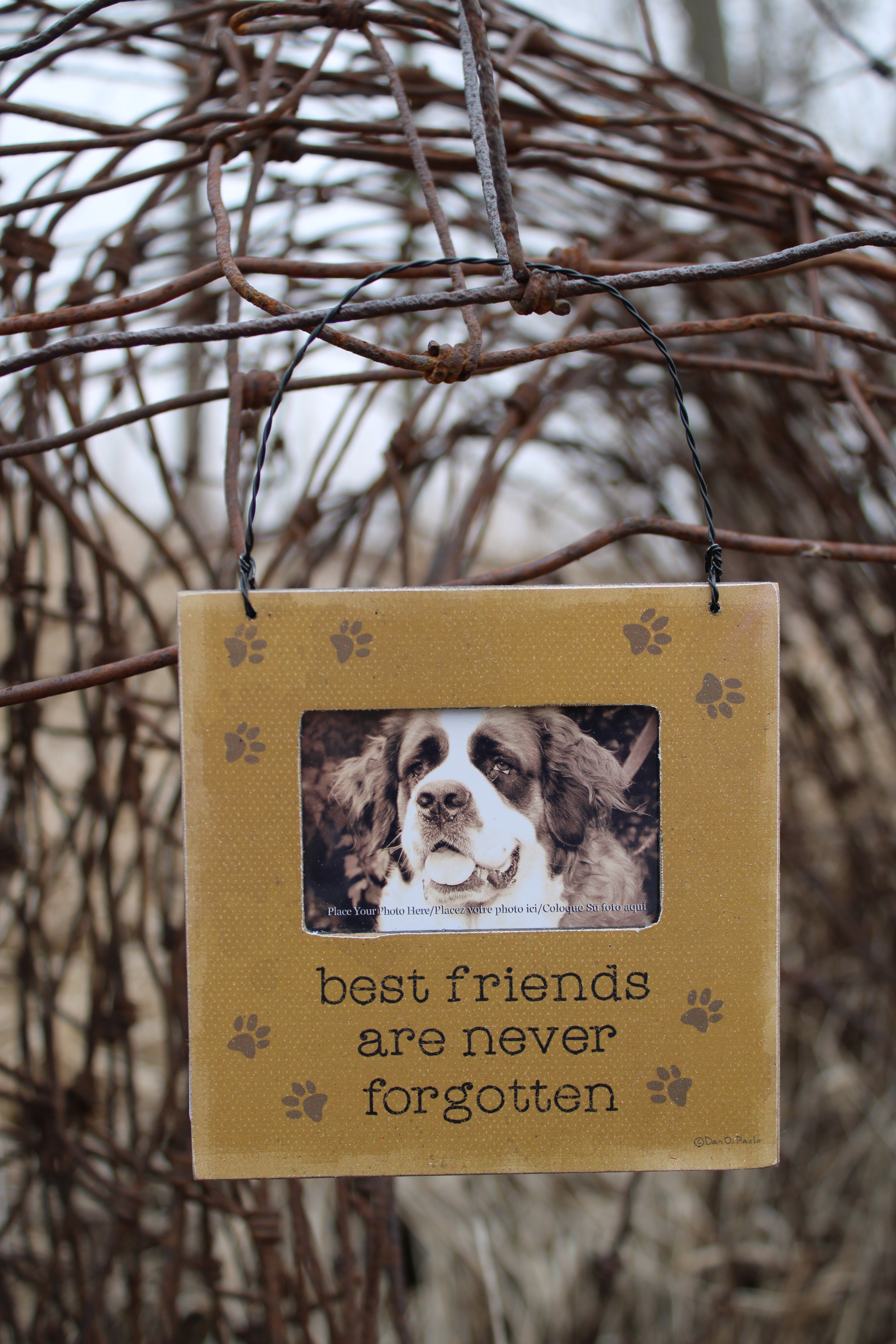 Best Friends Are Never Forgotten Mini Hanging Photo Frame – Farm Girls ...