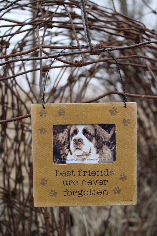 Best Friends Are Never Forgotten Mini Hanging Photo Frame