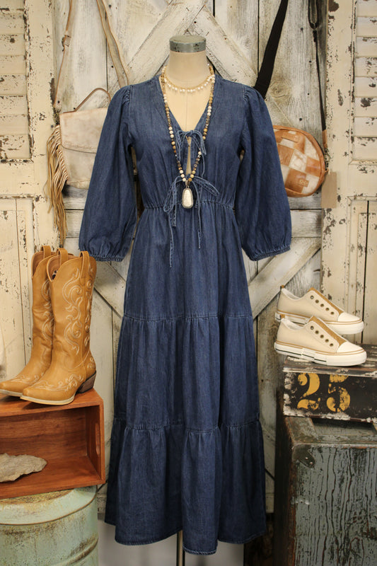 Willow Indigo Cotton Dress