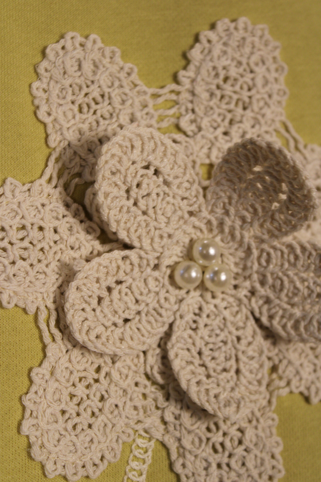 Sunlit Olive Bloom Top