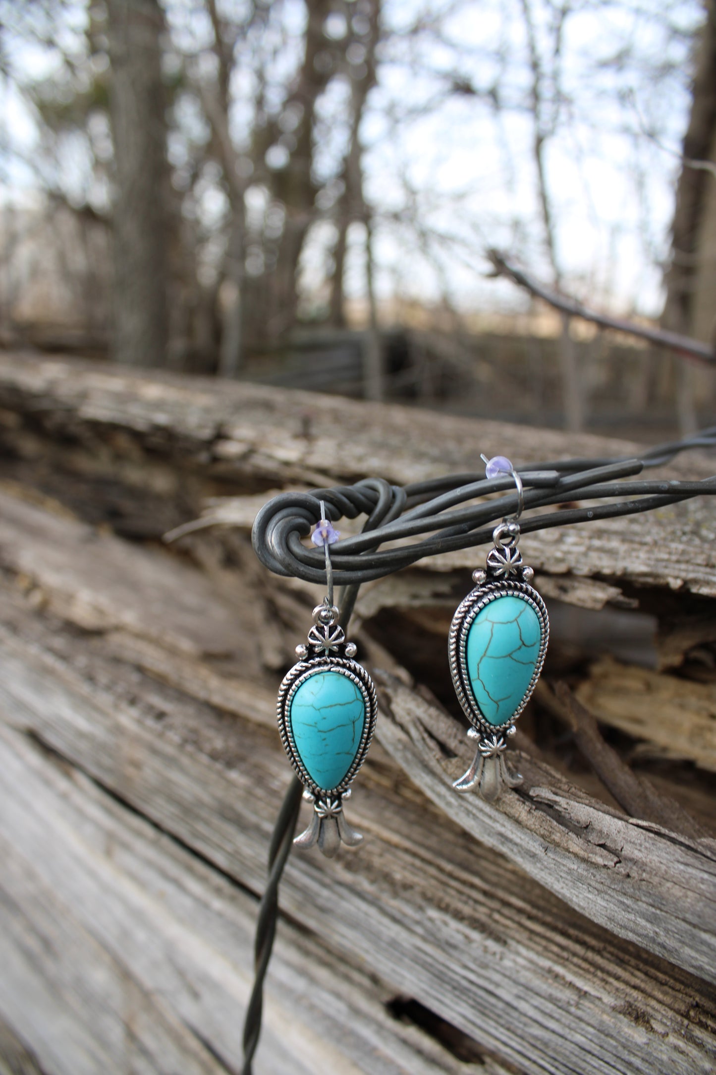 Santa Fe Sky Earrings