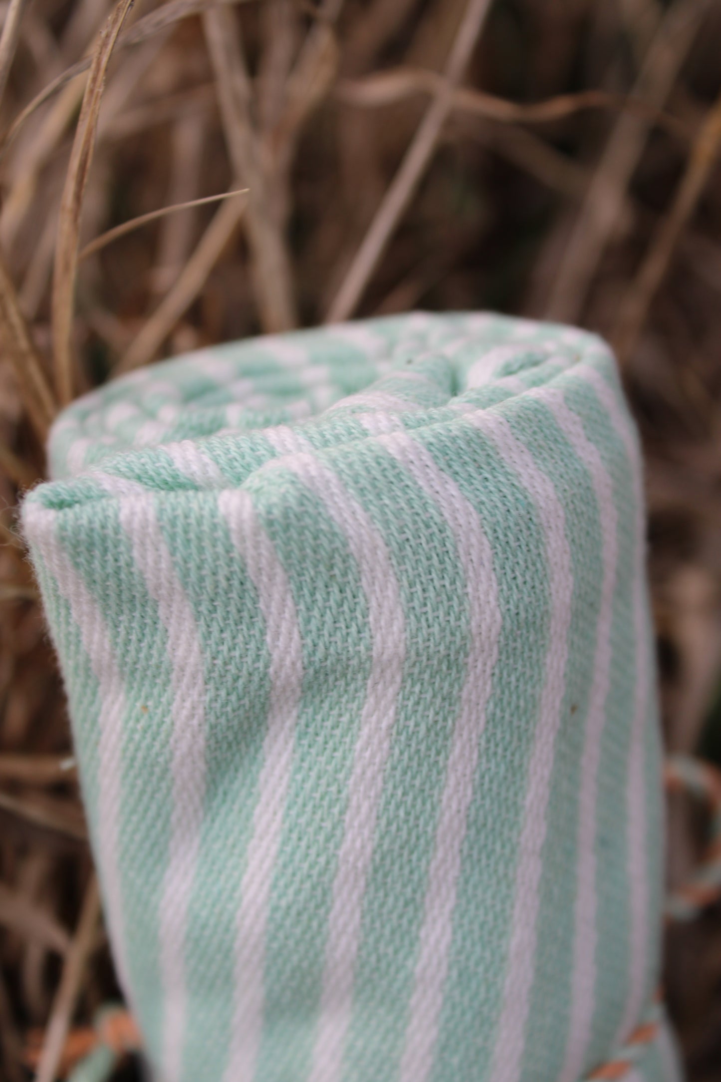 Hop Into Spring Stripes Kitchen Towel