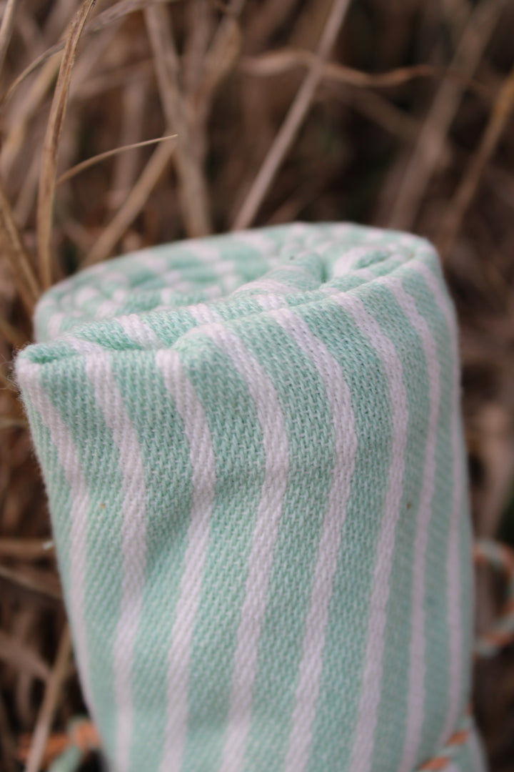 Hop Into Spring Stripes Kitchen Towel