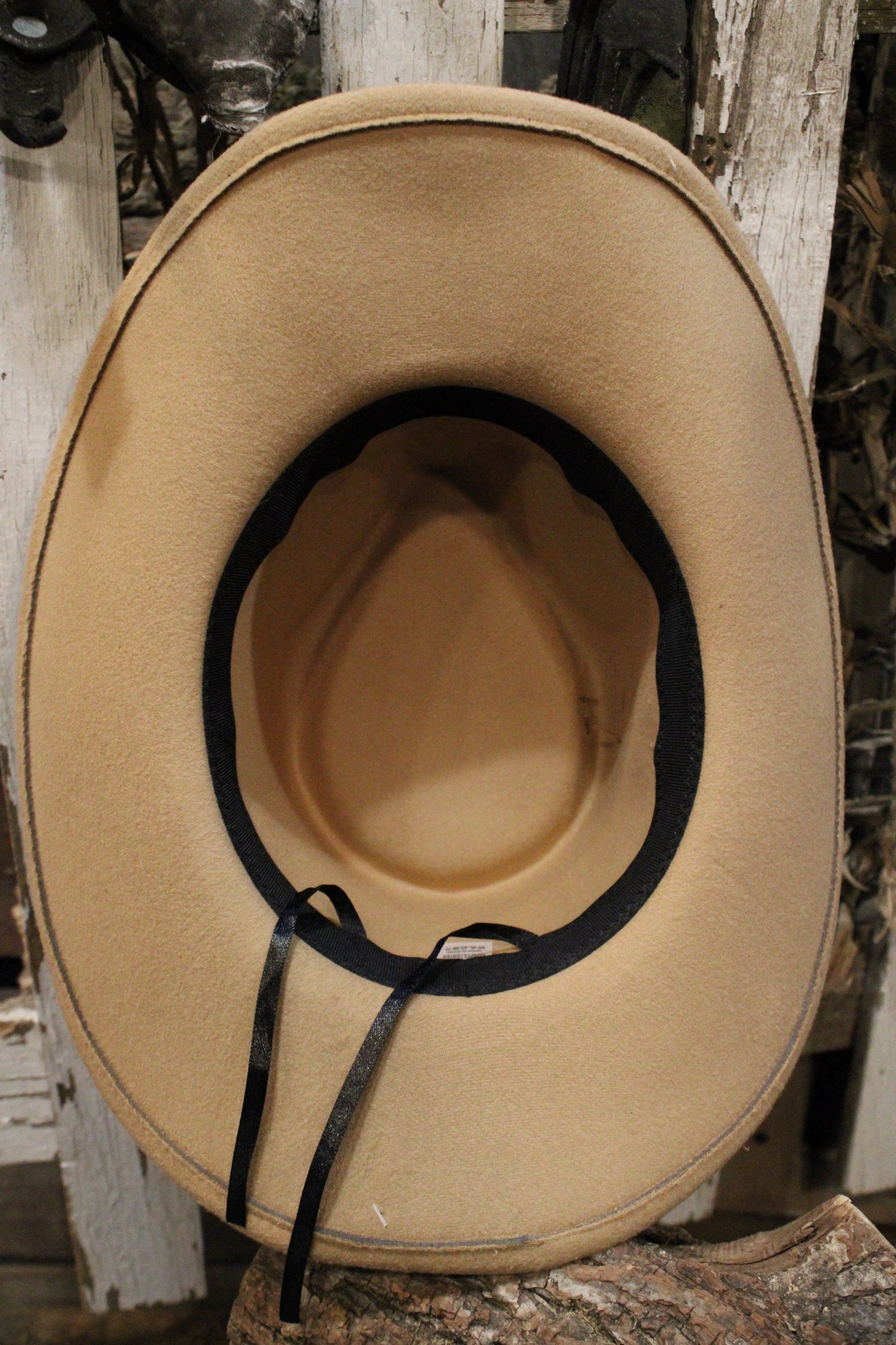 Rum Feather Cowgirl Fedora