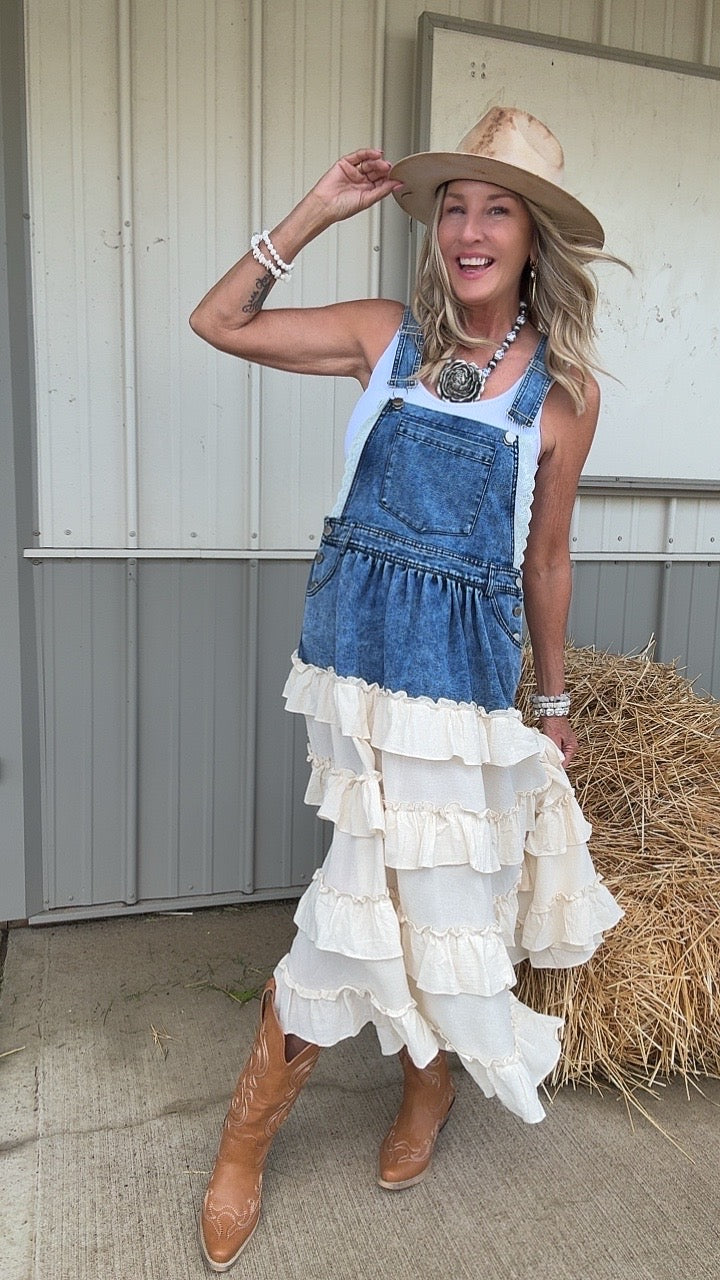Honey And Harvest Denim Overall Dress S