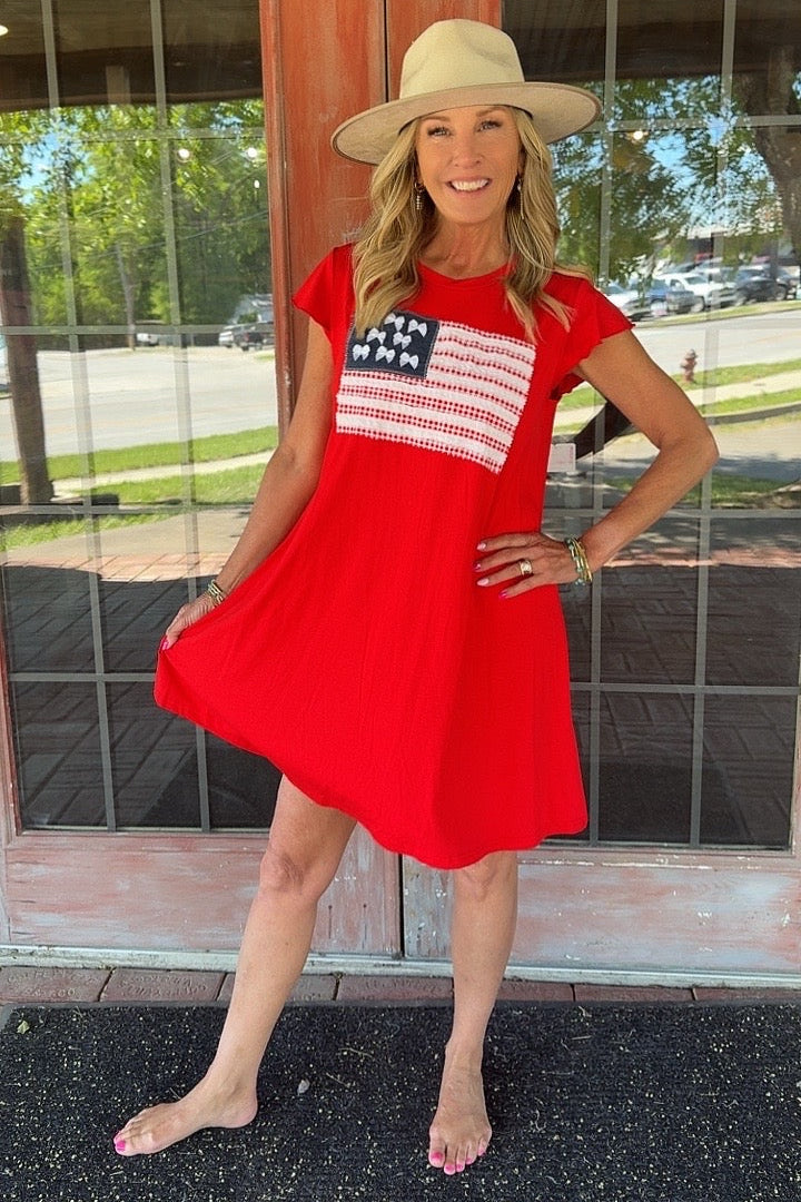 FGO Little Miss Liberty Applique Dress
