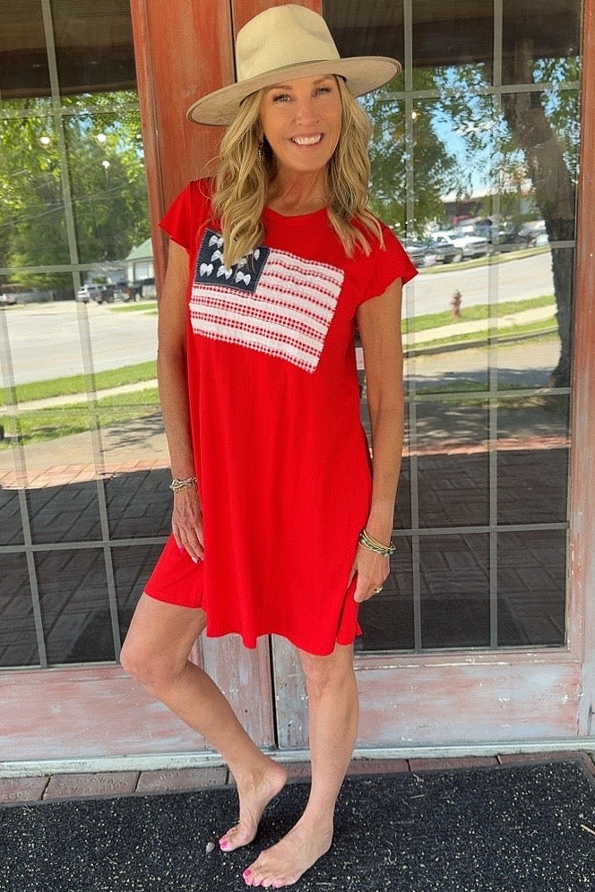FGO Little Miss Liberty Applique Dress
