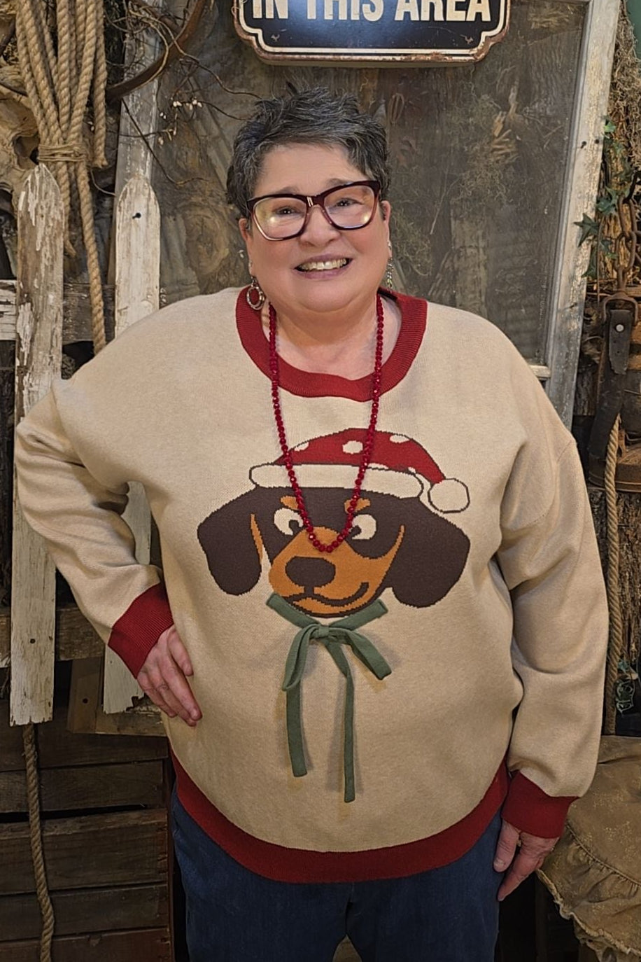 Deck the Halls with Barks &amp; Holly Sweater